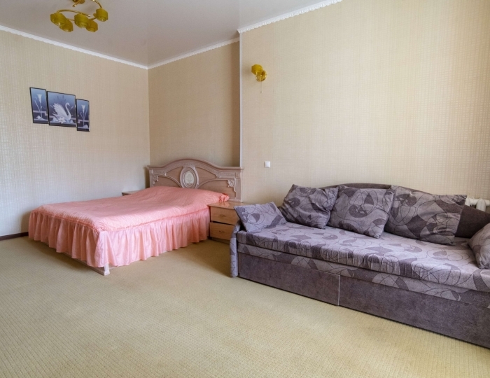 Люкс 1-местный 1-комнатный (корпус 9) - Санаторий «Ассы» Белорецк