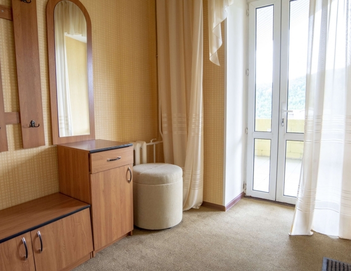 Люкс 1-местный 1-комнатный (корпус 9) - Санаторий «Ассы» Белорецк