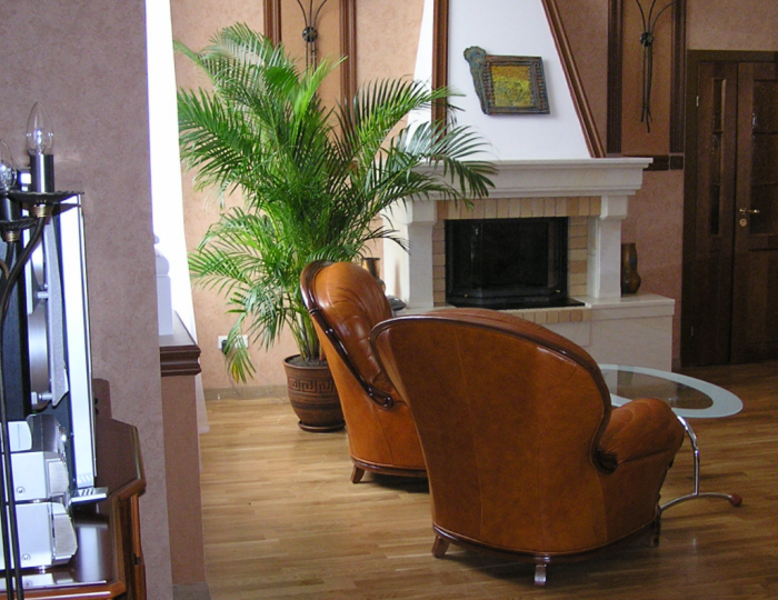 Люкс 1-мест 2-ком с камином (корпус 10) - Санаторий «Ассы» Белорецк