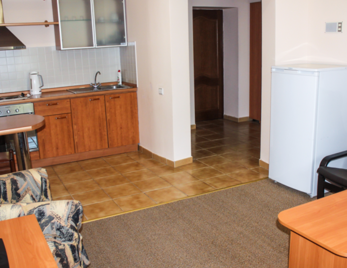 Люкс 1-мест 2-комн (корпус 8) - Санаторий «Ассы» Белорецк