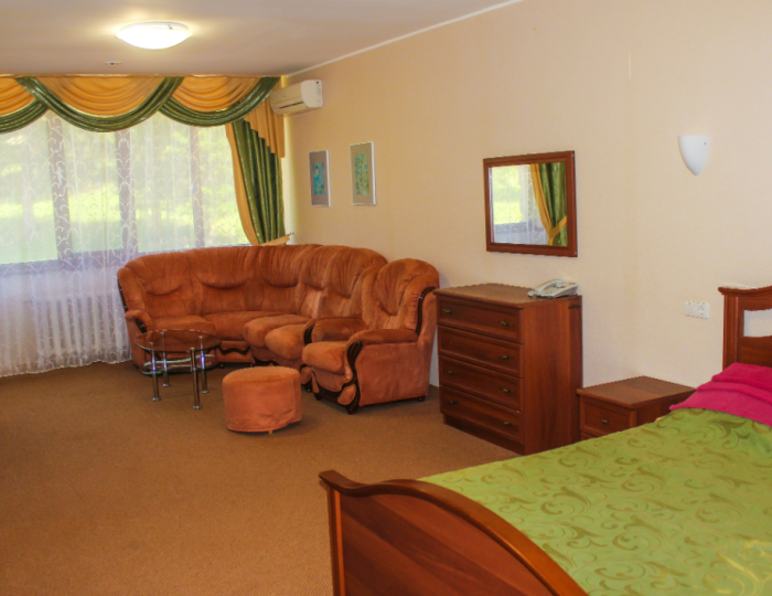 Люкс 1-местный 3-ком к.10 - Санаторий «Ассы» Белорецк
