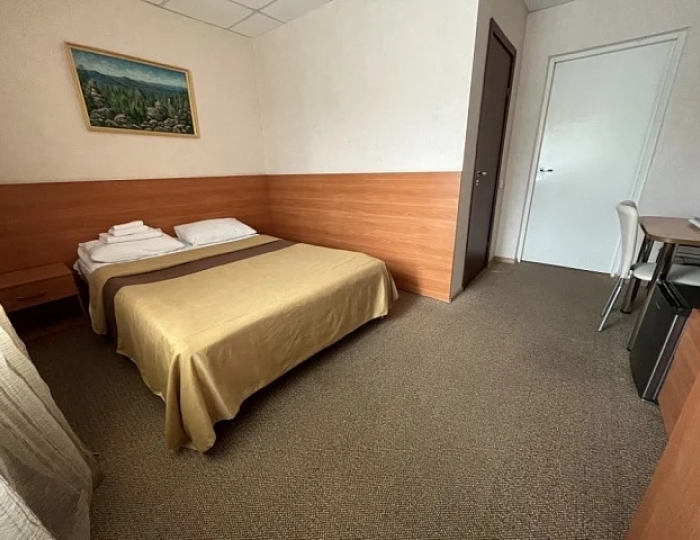 Стандарт 1-местный 1-комнатный (корпус 7) - Санаторий «Ассы» Белорецк