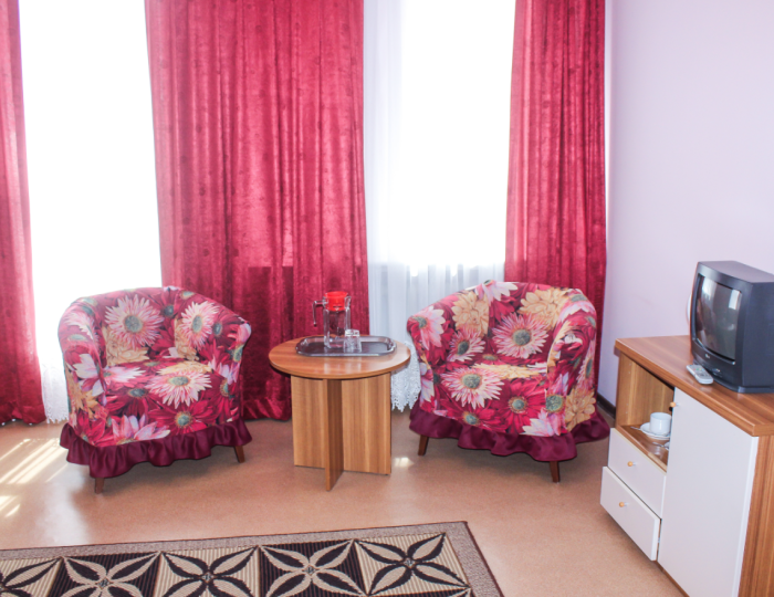 Стандарт 1-мест 1-комн (корпус 8) - Санаторий «Ассы» Белорецк