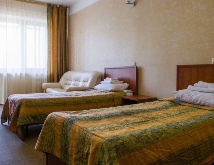 Стандарт 2-местный 1-комнатный (корпус 6) - Санаторий «Ассы» Белорецк
