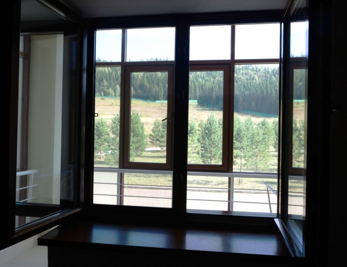 Стандарт 2-местный 1-комнатный (корпус 6) - Санаторий «Ассы» Белорецк