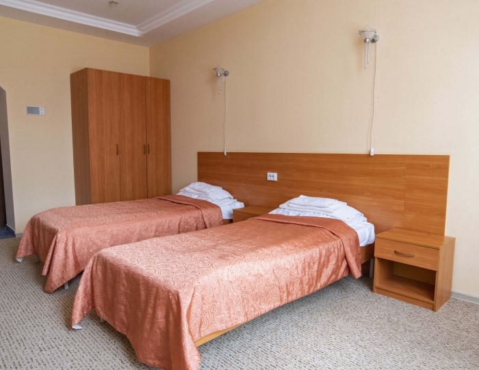 Стандарт 2-местный 1-комнатный (корпус 8) - Санаторий «Ассы» Белорецк