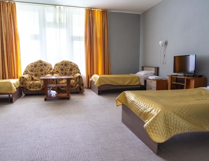 Стандарт 4-местный (корпус 1) - Санаторий «Ассы» Белорецк